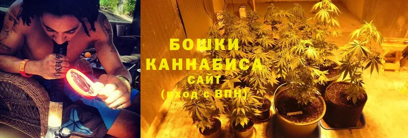 Каннабис THC 21%  как найти закладки  Буинск 